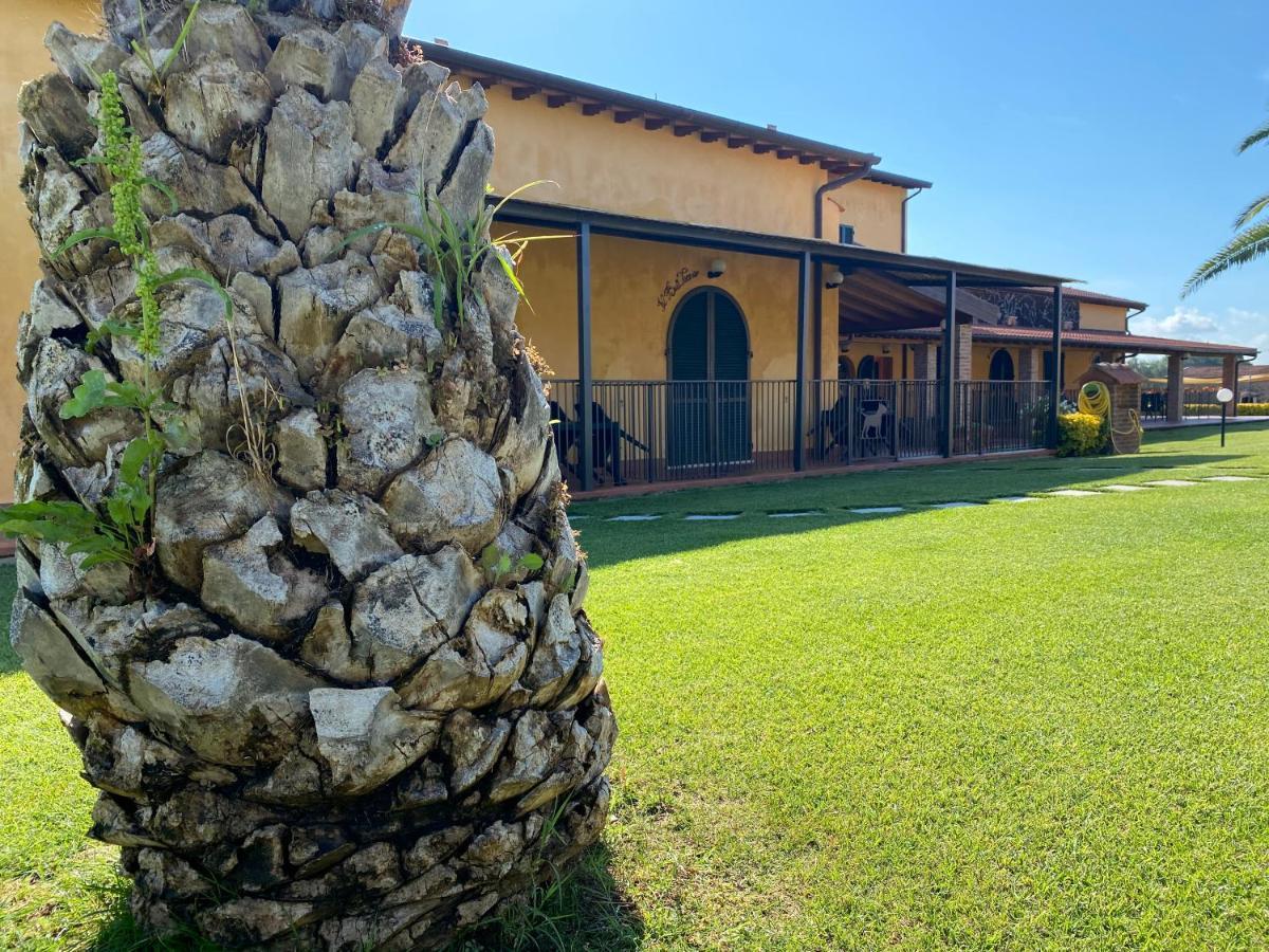 Borgo Bernabei Casa de hóspedes Buriano  Exterior foto
